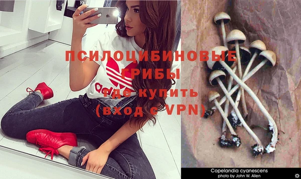 кокаин колумбия Богородицк