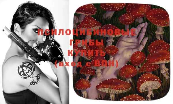спиды Липки