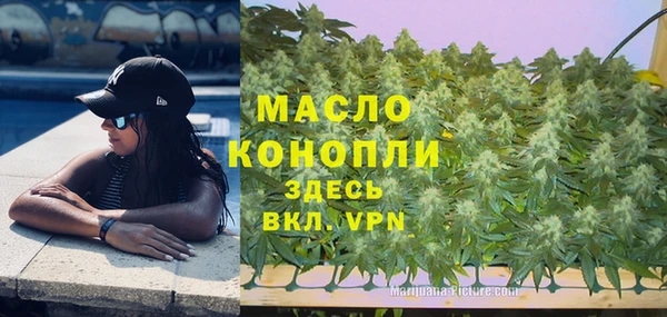 спиды Липки